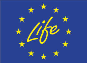 life-logo-300x217.jpg